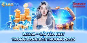 Giới thiệu vài điều về LEO88