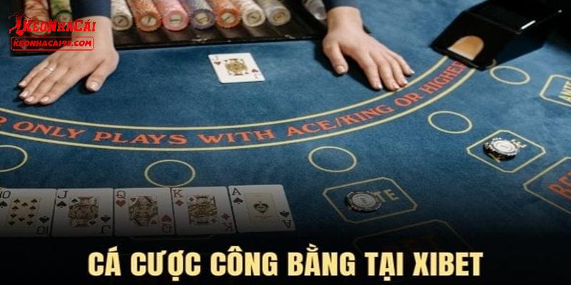 Những điểm hàng đầu tại XIBET được chú ý